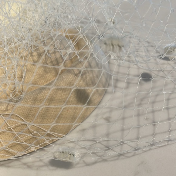 Birdcage Veil - Picture 2 of 4